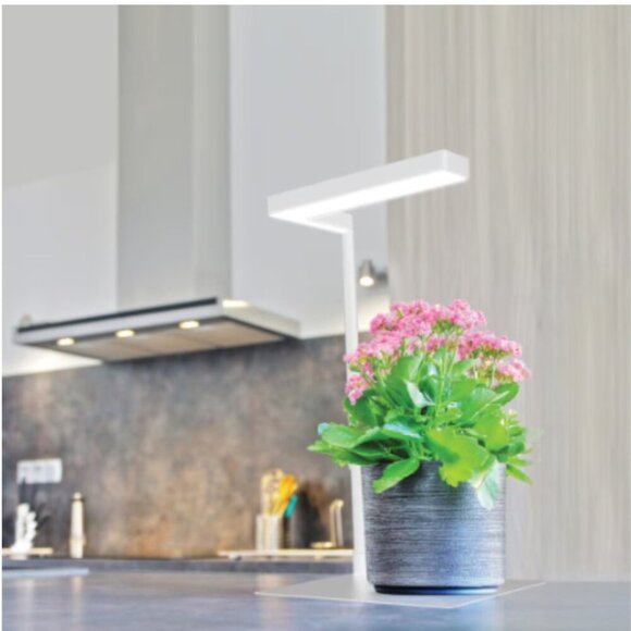 Feit Electric - LED Table Top Plant Grow Light - Picture 5 of 16